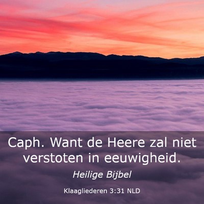 Picture 03 - Klaagliederen 3:31 NLD - Caph. Want de Heere zal niet verstoten in - Bible Verse Picture