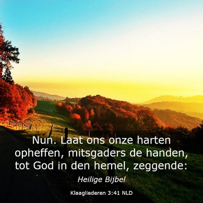 Picture 03 - Klaagliederen 3:41 NLD - Nun. Laat ons onze harten opheffen, mitsgaders de - Bible Verse Picture