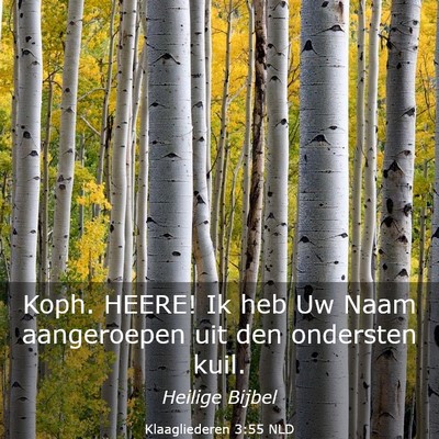 Picture 03 - Klaagliederen 3:55 NLD - Koph. HEERE! Ik heb Uw Naam aangeroepen uit den - Bible Verse Picture