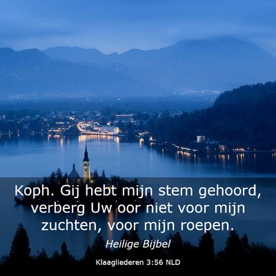 Picture 03 - Klaagliederen 3:56 NLD - Koph. Gij hebt mijn stem gehoord, verberg Uw oor - Bible Verse Picture