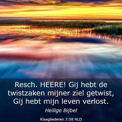 Picture 03 - Klaagliederen 3:58 NLD - Resch. HEERE! Gij hebt de twistzaken mijner ziel - Bible Verse Picture