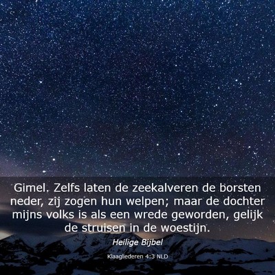 Picture 03 - Klaagliederen 4:3 NLD - Gimel. Zelfs laten de zeekalveren de borsten - Bible Verse Picture