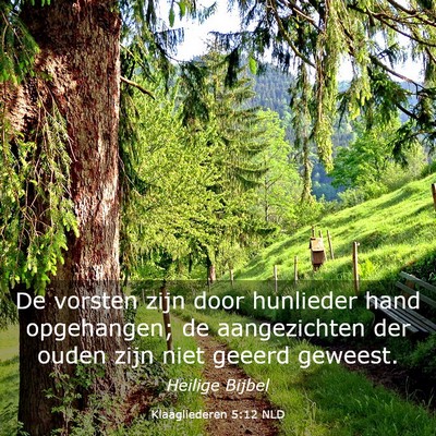 Picture 03 - Klaagliederen 5:12 NLD - De vorsten zijn door hunlieder hand opgehangen; - Bible Verse Picture