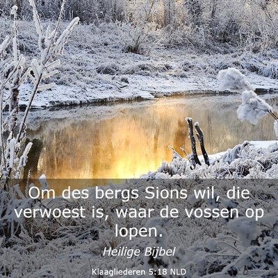 Picture 03 - Klaagliederen 5:18 NLD - Om des bergs Sions wil, die verwoest is, waar de - Bible Verse Picture