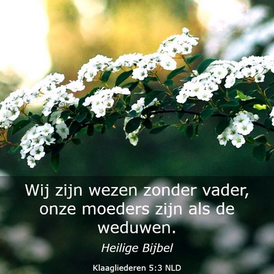 Picture 03 - Klaagliederen 5:3 NLD - Wij zijn wezen zonder vader, onze moeders zijn - Bible Verse Picture