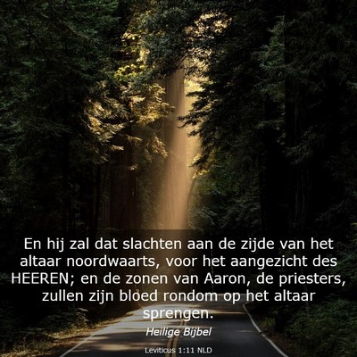 Picture 03 - Leviticus 1:11 NLD - En hij zal dat slachten aan de zijde van het - Bible Verse Picture