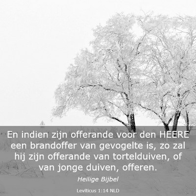 Picture 03 - Leviticus 1:14 NLD - En indien zijn offerande voor den HEERE een - Bible Verse Picture
