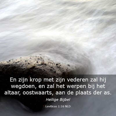 Picture 03 - Leviticus 1:16 NLD - En zijn krop met zijn vederen zal hij wegdoen, en - Bible Verse Picture