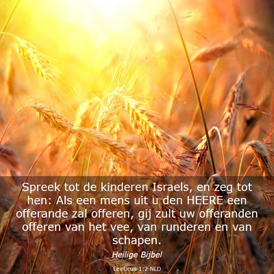Picture 03 - Leviticus 1:2 NLD - Spreek tot de kinderen Israels, en zeg tot hen: - Bible Verse Picture