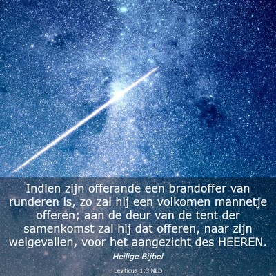 Picture 03 - Leviticus 1:3 NLD - Indien zijn offerande een brandoffer van runderen - Bible Verse Picture