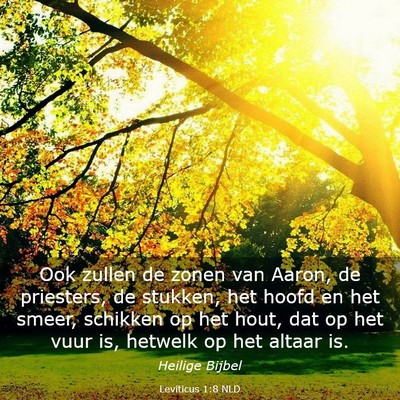 Picture 03 - Leviticus 1:8 NLD - Ook zullen de zonen van Aaron, de priesters, de - Bible Verse Picture