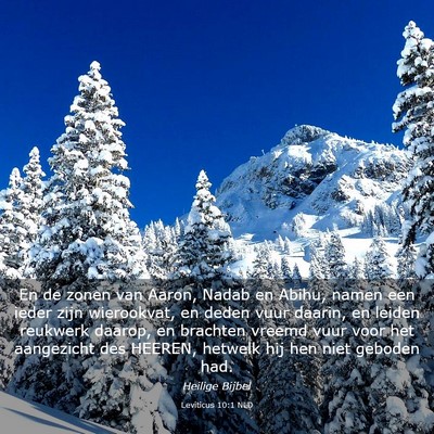 Picture 03 - Leviticus 10:1 NLD - En de zonen van Aaron, Nadab en Abihu, namen een - Bible Verse Picture