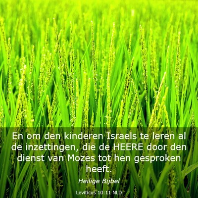 Picture 03 - Leviticus 10:11 NLD - En om den kinderen Israels te leren al de - Bible Verse Picture