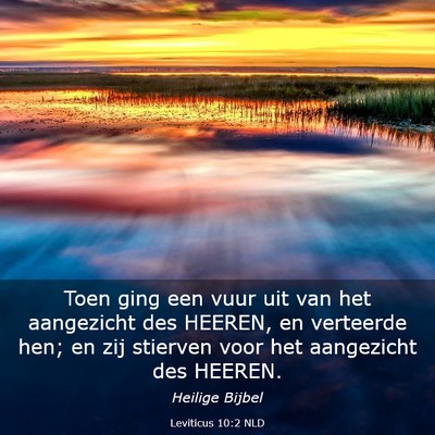 Picture 03 - Leviticus 10:2 NLD - Toen ging een vuur uit van het aangezicht des - Bible Verse Picture