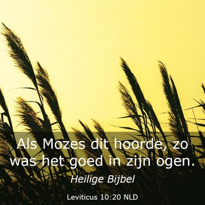 Picture 03 - Leviticus 10:20 NLD - Als Mozes dit hoorde, zo was het goed in zijn - Bible Verse Picture