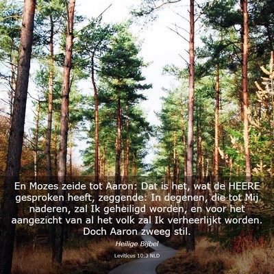 Picture 03 - Leviticus 10:3 NLD - En Mozes zeide tot Aaron: Dat is het, wat de - Bible Verse Picture