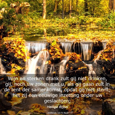 Picture 03 - Leviticus 10:9 NLD - Wijn en sterken drank zult gij niet drinken, gij, - Bible Verse Picture