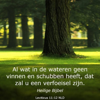 Picture 03 - Leviticus 11:12 NLD - Al wat in de wateren geen vinnen en schubben - Bible Verse Picture