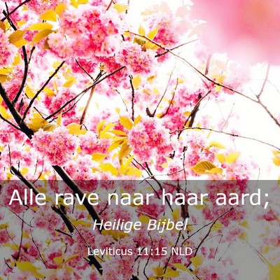 Picture 03 - Leviticus 11:15 NLD - Alle rave naar haar - Bible Verse Picture