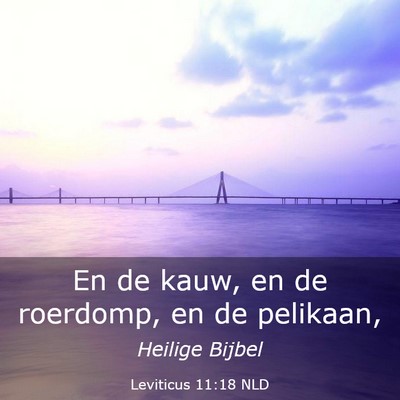 Picture 03 - Leviticus 11:18 NLD - En de kauw, en de roerdomp, en de - Bible Verse Picture
