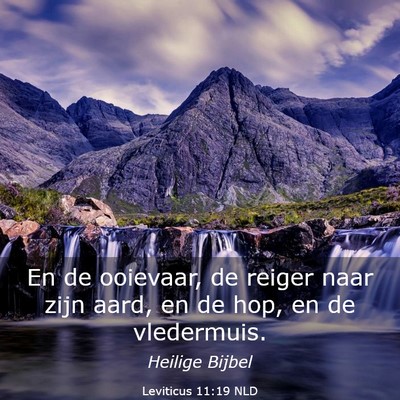 Picture 03 - Leviticus 11:19 NLD - En de ooievaar, de reiger naar zijn aard, en de - Bible Verse Picture