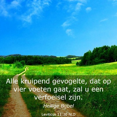 Picture 03 - Leviticus 11:20 NLD - Alle kruipend gevogelte, dat op vier voeten gaat, - Bible Verse Picture