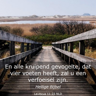 Picture 03 - Leviticus 11:23 NLD - En alle kruipend gevogelte, dat vier voeten - Bible Verse Picture