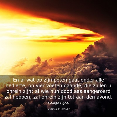 Picture 03 - Leviticus 11:27 NLD - En al wat op zijn poten gaat onder alle gedierte, - Bible Verse Picture