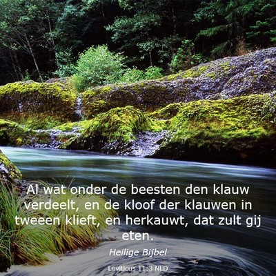 Picture 03 - Leviticus 11:3 NLD - Al wat onder de beesten den klauw verdeelt, en de - Bible Verse Picture