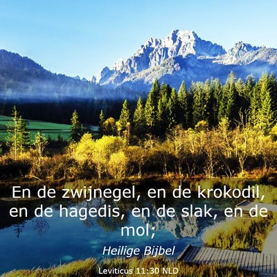 Picture 03 - Leviticus 11:30 NLD - En de zwijnegel, en de krokodil, en de hagedis, - Bible Verse Picture