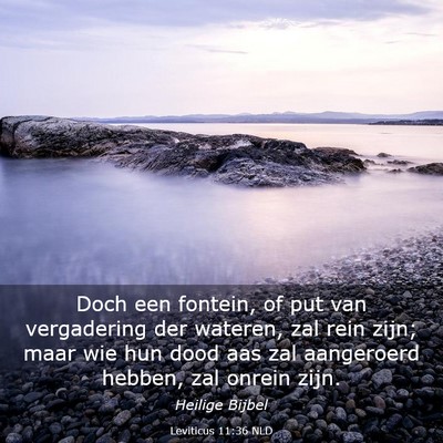 Picture 03 - Leviticus 11:36 NLD - Doch een fontein, of put van vergadering der - Bible Verse Picture