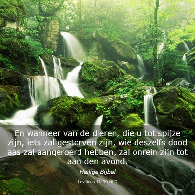 Picture 03 - Leviticus 11:39 NLD - En wanneer van de dieren, die u tot spijze zijn, - Bible Verse Picture