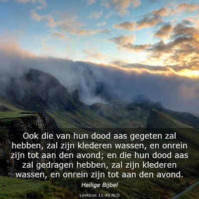 Picture 03 - Leviticus 11:40 NLD - Ook die van hun dood aas gegeten zal hebben, zal - Bible Verse Picture
