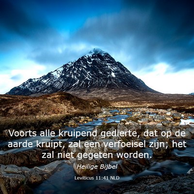 Picture 03 - Leviticus 11:41 NLD - Voorts alle kruipend gedierte, dat op de aarde - Bible Verse Picture