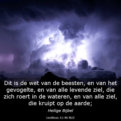 Picture 03 - Leviticus 11:46 NLD - Dit is de wet van de beesten, en van het - Bible Verse Picture