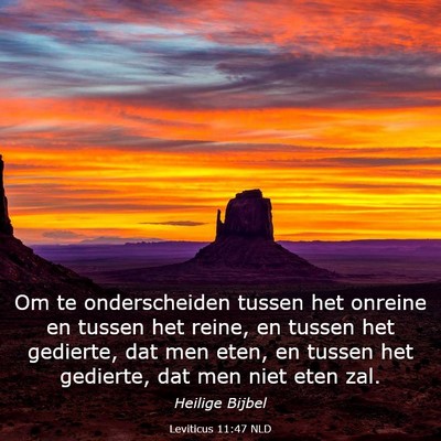 Picture 03 - Leviticus 11:47 NLD - Om te onderscheiden tussen het onreine en tussen - Bible Verse Picture