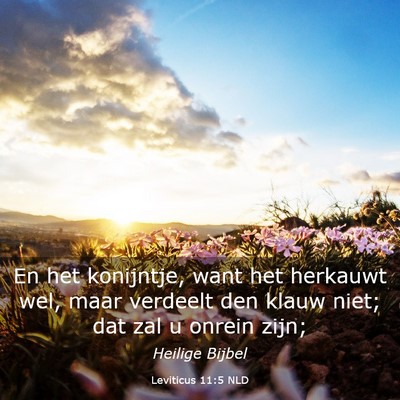 Picture 03 - Leviticus 11:5 NLD - En het konijntje, want het herkauwt wel, maar - Bible Verse Picture