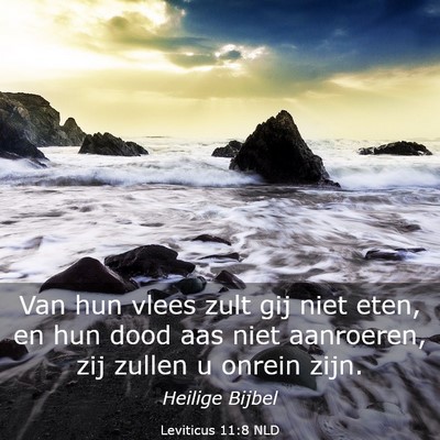 Picture 03 - Leviticus 11:8 NLD - Van hun vlees zult gij niet eten, en hun dood aas - Bible Verse Picture