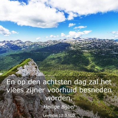 Picture 03 - Leviticus 12:3 NLD - En op den achtsten dag zal het vlees zijner - Bible Verse Picture