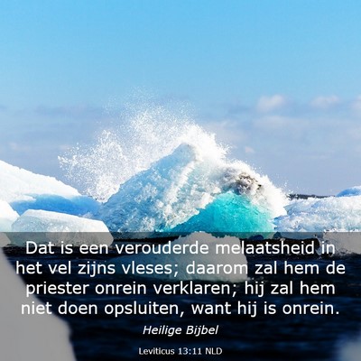Picture 03 - Leviticus 13:11 NLD - Dat is een verouderde melaatsheid in het vel - Bible Verse Picture
