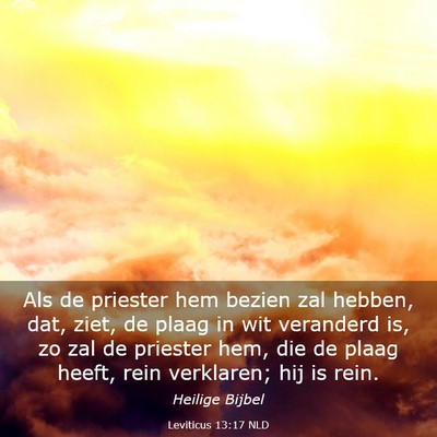 Picture 03 - Leviticus 13:17 NLD - Als de priester hem bezien zal hebben, dat, ziet, - Bible Verse Picture