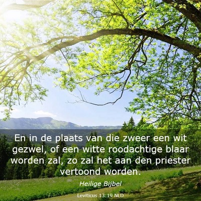 Picture 03 - Leviticus 13:19 NLD - En in de plaats van die zweer een wit gezwel, of - Bible Verse Picture