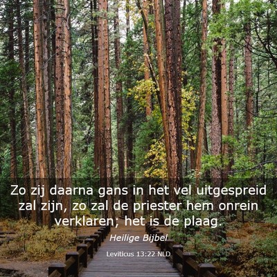 Picture 03 - Leviticus 13:22 NLD - Zo zij daarna gans in het vel uitgespreid zal - Bible Verse Picture