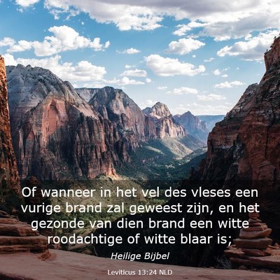 Picture 03 - Leviticus 13:24 NLD - Of wanneer in het vel des vleses een vurige brand - Bible Verse Picture