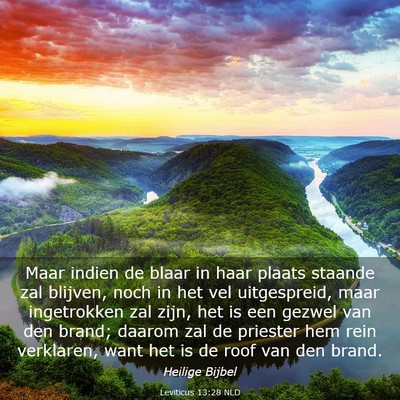 Picture 03 - Leviticus 13:28 NLD - Maar indien de blaar in haar plaats staande zal - Bible Verse Picture
