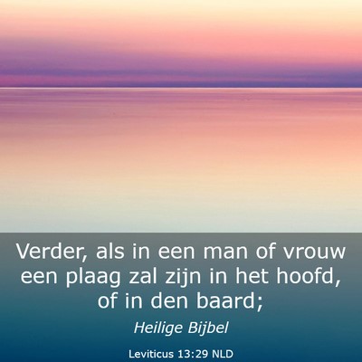 Picture 03 - Leviticus 13:29 NLD - Verder, als in een man of vrouw een plaag zal - Bible Verse Picture