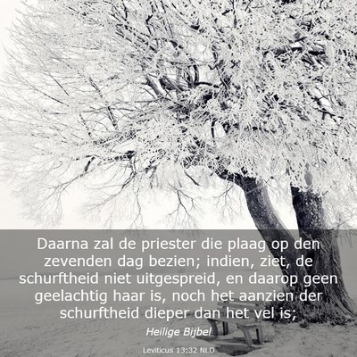 Picture 03 - Leviticus 13:32 NLD - Daarna zal de priester die plaag op den zevenden - Bible Verse Picture