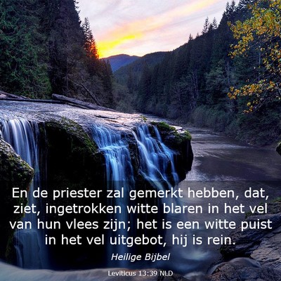Picture 03 - Leviticus 13:39 NLD - En de priester zal gemerkt hebben, dat, ziet, - Bible Verse Picture