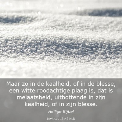 Picture 03 - Leviticus 13:42 NLD - Maar zo in de kaalheid, of in de blesse, een - Bible Verse Picture