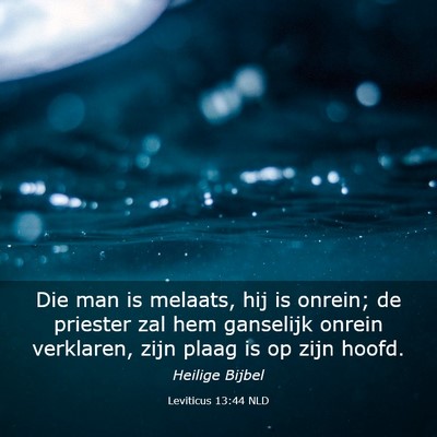 Picture 03 - Leviticus 13:44 NLD - Die man is melaats, hij is onrein; de priester - Bible Verse Picture